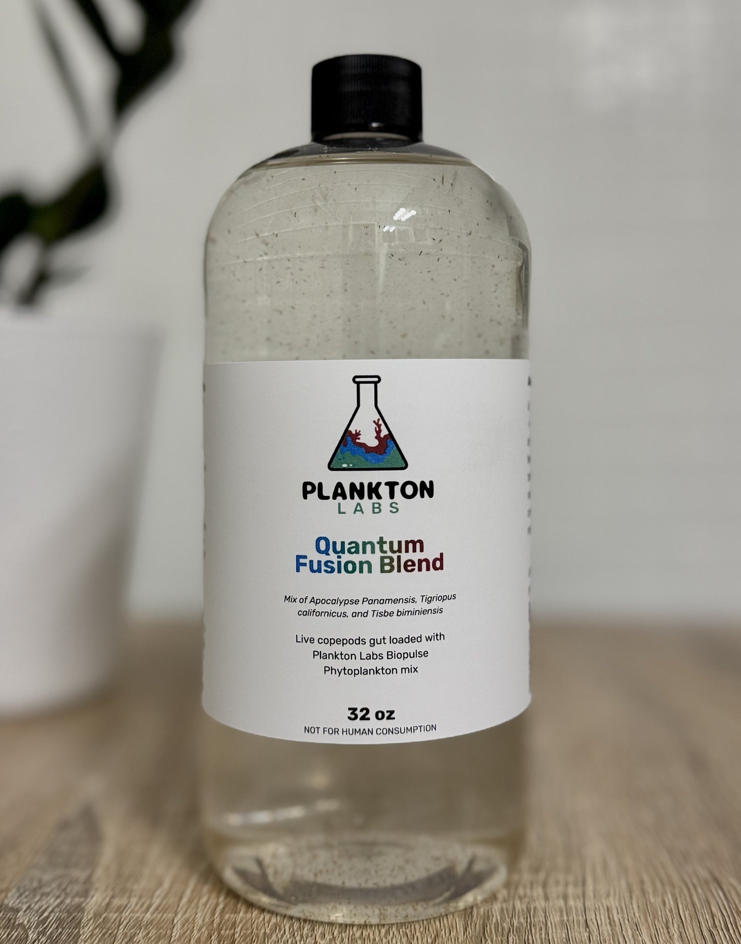 Quantum Fusion